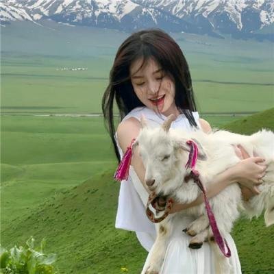 道格拉斯冷杉果